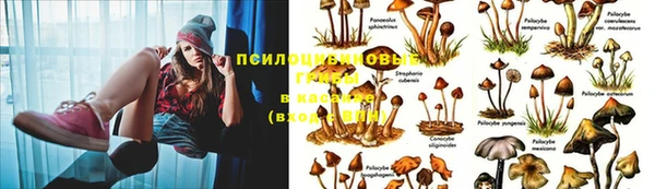 гашик Абаза