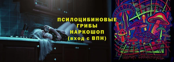дмт Алзамай