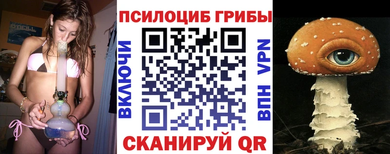 как найти   Нюрба  МЕГА ссылки  Псилоцибиновые грибы мицелий 